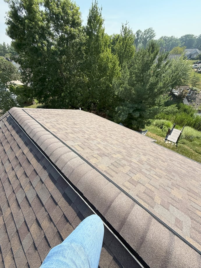 View from the top of a house