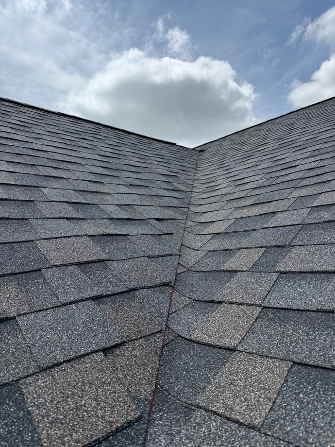 Roof shingles