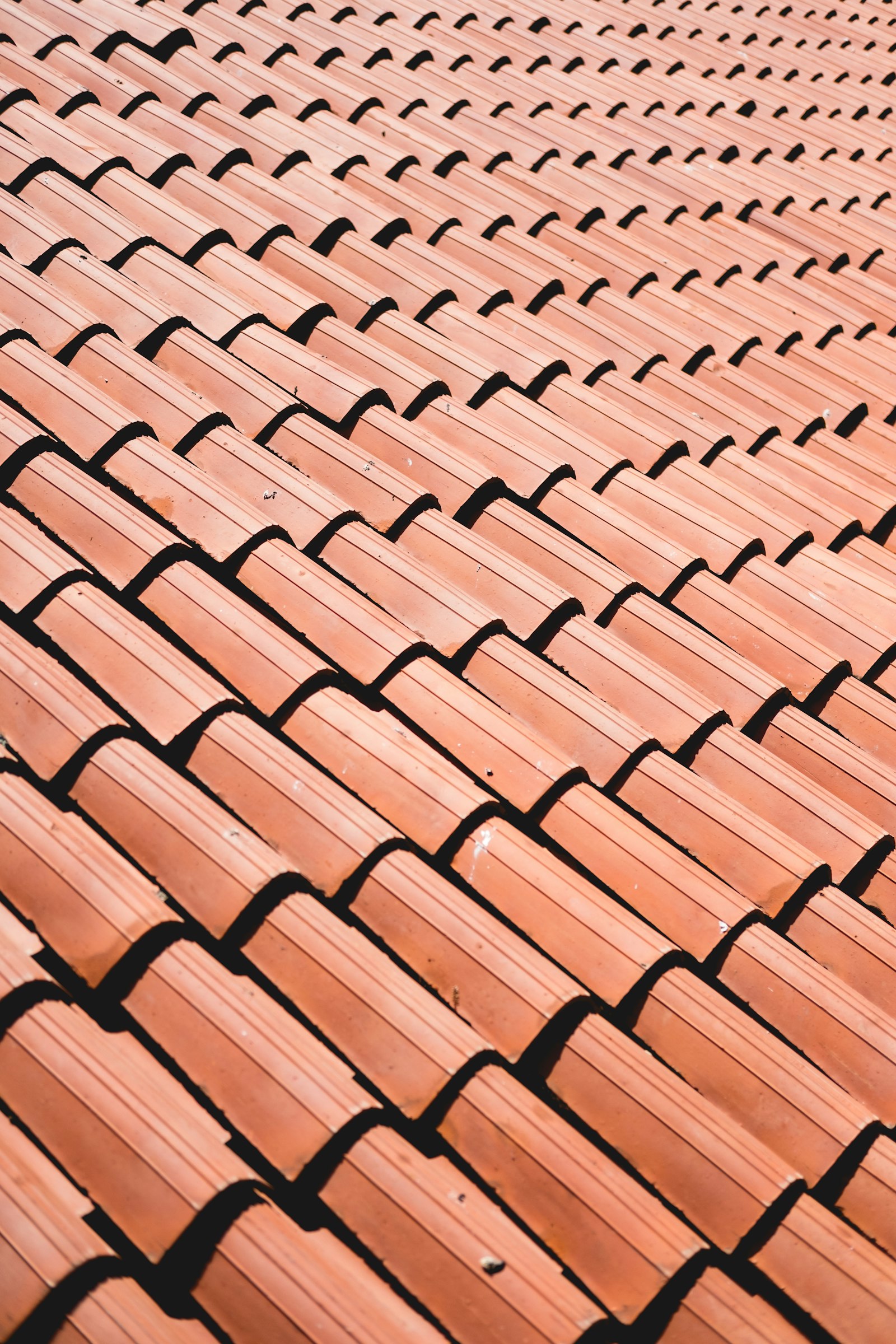 Close-up of a well-maintained asphalt shingle roof