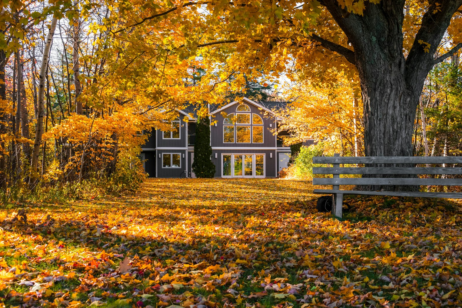 Home surrounded by fall foliage in a Cleveland-area neighborhood
